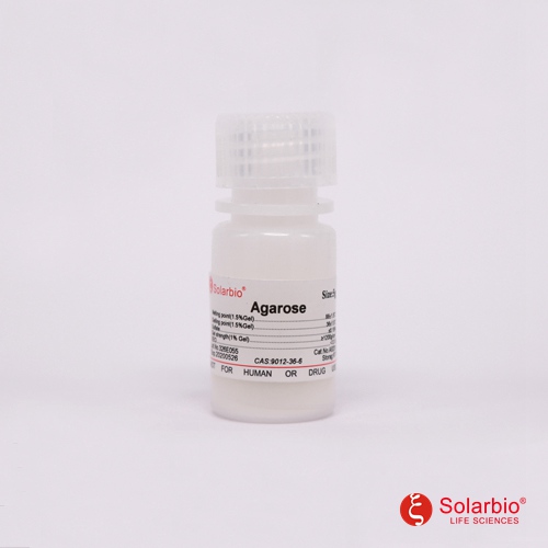 琼脂糖 Agarose 10g
