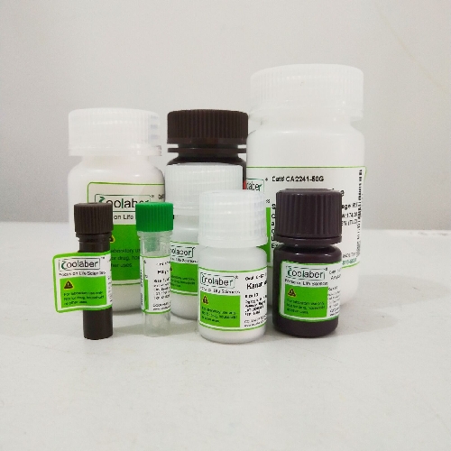 DEAE葡聚糖凝胶A-50 试剂级 25g