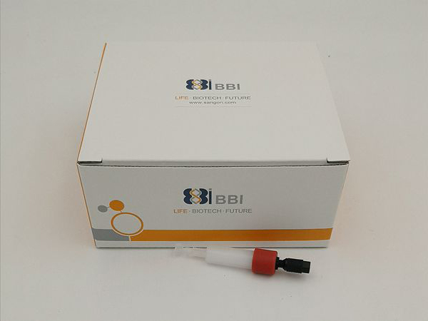 Protein A 预装色谱柱 5X1ML