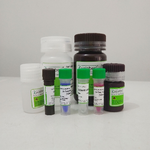 谷胱甘肽-琼脂糖凝胶 4B 试剂级 10ml