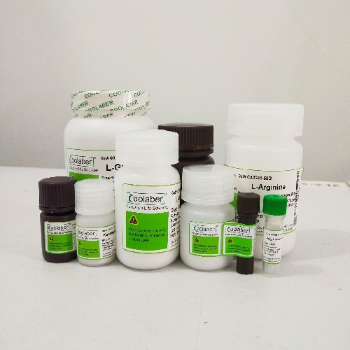 葡聚糖凝胶 LH-20 试剂级 25g