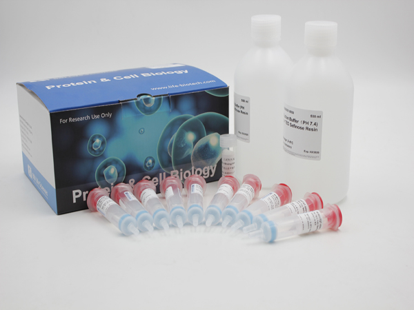 Ni-TED 1ml 预装重力柱试剂盒 1 KIT