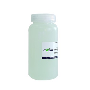 TBS（pH8.0, 10×）   500 ml