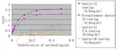 Anti-Apelin antibody [EPNCIR154]  40µl