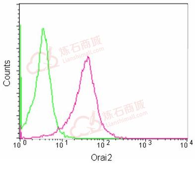 Anti-Orai2 antibody [EPR10043(2)] - C-terminal  100µl