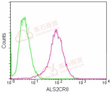 Anti-ALS2CR8 antibody [EPR13712]  100µl