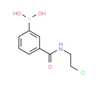 N-(2-Chloroethyl) 3-boronobenzamide  5 g