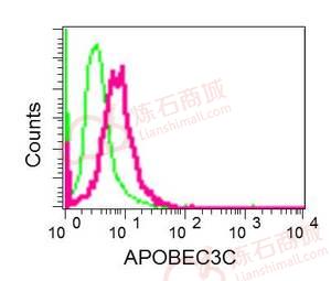 Anti-APOBEC3C antibody [EPR13417]  10µl