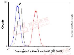 Anti-Desmoglein 2 antibody [EPR6768]  100µl