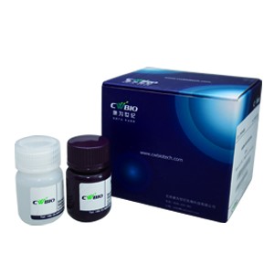 eECL Western Blot Kit   50 ml