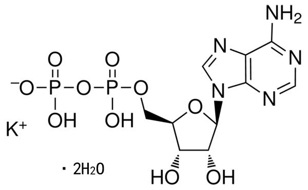 腺苷-5'-二磷酸单钾盐二水合物 Adenosine 5′-diphosphate monopotassium salt dihydrate ≥95% 1g