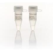 Glycogen  RNA grade   2x0.1mL