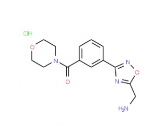 {3-[3-(Morpholin-4-ylcarbonyl)phenyl]-1,2,4-oxadiazol-5-yl}methylamine hydrochloride  500 mg