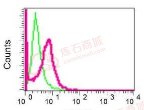 Anti-NYREN18 antibody [EPR10716]  100µl