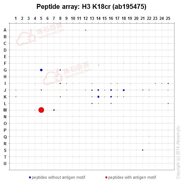 Anti-Histone H3 (crotonyl K18) antibody [EPR18773]  10µl