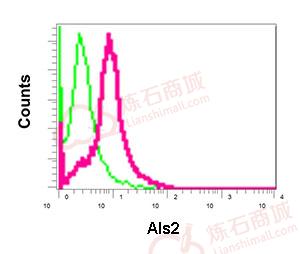 Anti-Als2 antibody [EPR11185]  10µl