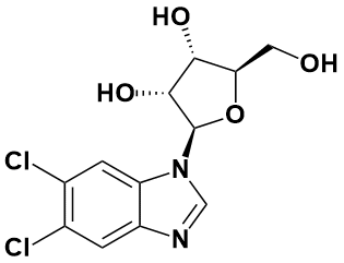 抑制剂5,6-Dichlorobenzimidazole riboside|5,6-Dichlorobenzimidazole riboside|53-85-0|Adamas life|≥98%（以实