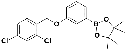 2-(3-((2,4-二氯苄基)氧基)苯基)-4,4,5,5-四甲基-1,3,2-二噁硼烷|2-(3-((2,4-Dichlorobenzyl)Oxy)Phenyl)-4,4,5,5-Tetramet