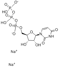 尿苷-5<i></i>'-三磷酸二钠盐 结构式