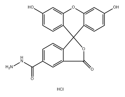 5-FAM HYDRAZIDE HCL 结构式