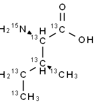 L-ISOLEUCINE (U-13C6,15N) 结构式