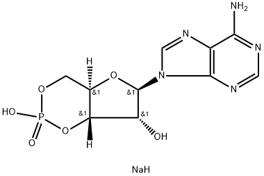 腺苷-3<i></i>',5<i></i>'-环状单磷酸钠水合物 结构式