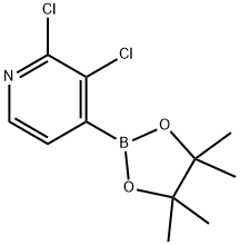 2,3-二氯吡啶-4-硼酸频哪酯 结构式