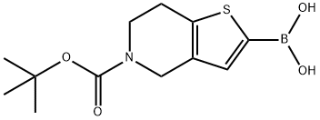 5-(叔丁氧羰基)-3A,4,5,6,7,7A-六氫噻吩并[3,2-C]吡啶-2-基硼酸 結(jié)構(gòu)式