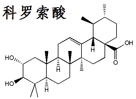 科罗索酸 结构式