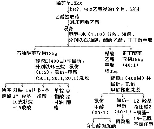 豨莶草化学成分提取分离