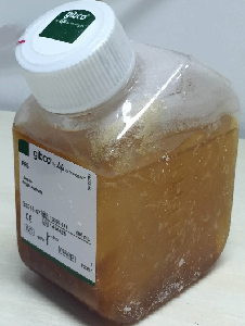 GIBCO胎牛血清(北美血源)