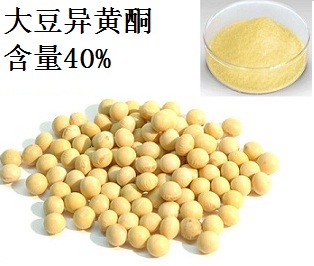 大豆提取物-含40%大豆异黄酮