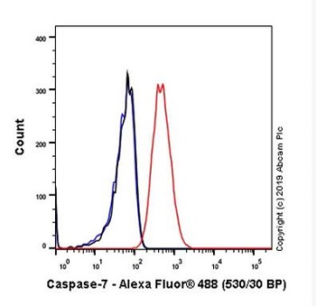 Anti-Caspase-7 Antibody