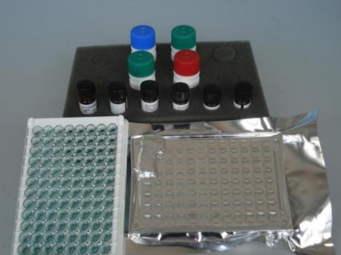 小鼠单核细胞趋化蛋白5(MCP-5) ELISA KIT