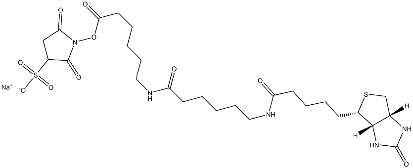6-[[6-[[5-[(3AS,4S,6AR)-六氢-2-氧代-1H-噻吩并[3,4-D]咪唑-4-基]-1-氧代戊基]氨基]-1-氧代己基]氨基]-己酸 2,5-二氧代-3-磺基-1-吡咯烷基酯钠盐, 194041-66-2, 结构式