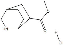 2-氮杂双环[2.2.2]辛烷6-羧酸盐盐酸盐, 97791-59-8, 结构式