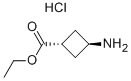 反式-3-氨基环丁酸乙酯盐酸盐, 957793-36-1, 结构式