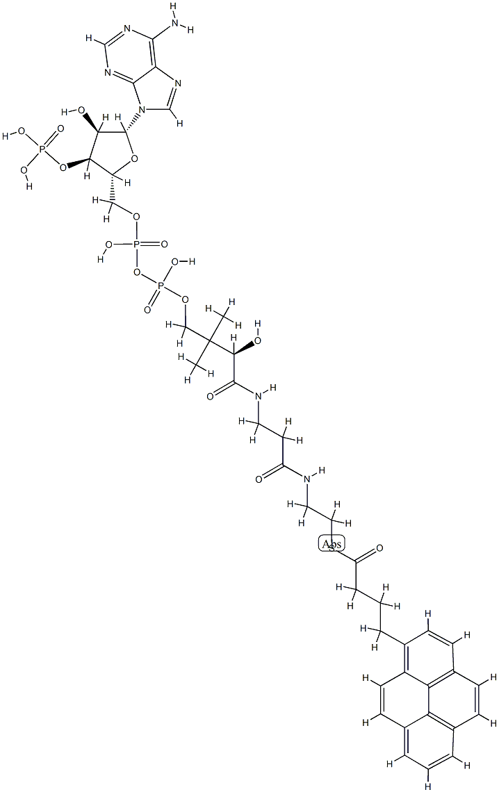 1-PYRENEBUTANOYL COENZYME A (AMMO<i></i>NIUM SALT);04:0 PYRENE COENZYME A, 81923-89-9, 结构式