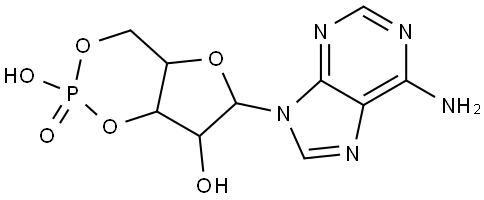 腺苷-3