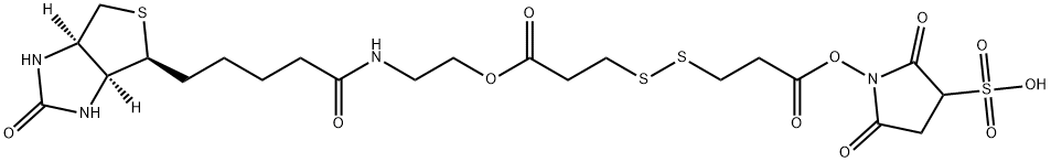 2,5-二氧代-1-((3-((3-氧代-3-(2-(5-((3AS,4S,6AR)-2-氧代六氢-1H-噻吩并[3,4-D]咪唑))-4-基)戊酰胺基)乙氧基)丙基)二硫基)丙酰基)氧基)吡咯烷-3-磺酸, 858128-64-0, 结构式