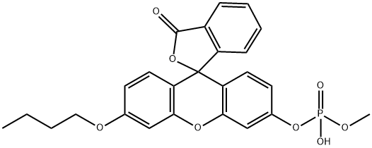 O-甲基-O-(N-丁基荧光素)磷酸盐, 887406-94-2, 结构式