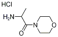 (1-甲基-2-吗啉-4-基-2-氧代乙基)胺盐酸盐, 24152-98-5, 结构式