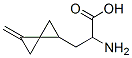 , 213198-59-5, 结构式