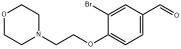 3 -溴-4 - (2 -吗啉代乙氧基)苯甲醛, 258831-64-0, 结构式