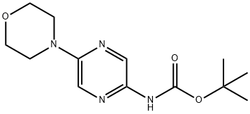 叔-丁基 (5-吗啉代吡嗪-2-基)氨基甲酯, 2007919-55-1, 结构式