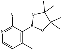 2-氯-4-甲基吡啶-3-硼酸頻哪酯, 2096331-26-7, 結(jié)構(gòu)式