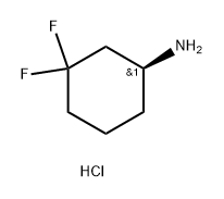 (S)-3,3-二氟环己胺盐酸盐, 2199497-63-5, 结构式