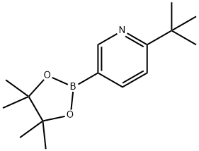 6-(叔丁基)吡啶-3-硼酸频哪酯, 2223047-95-6, 结构式