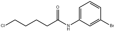 N-(3-溴苯基)-5-氯戊酰胺, 848170-46-7, 结构式