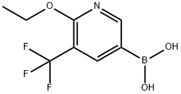 6-乙氧基-5-三氟甲基-3-吡啶硼酸, 849934-85-6, 结构式